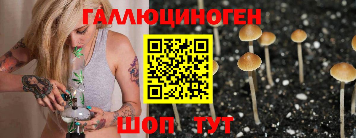 Псилоцибиновые грибы Cubensis Ржев